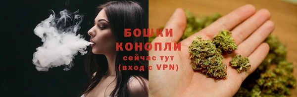 гашик Нягань