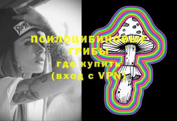 гидра Нязепетровск