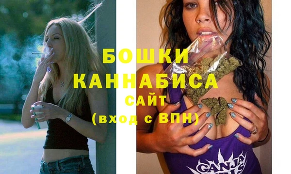 мет Няндома