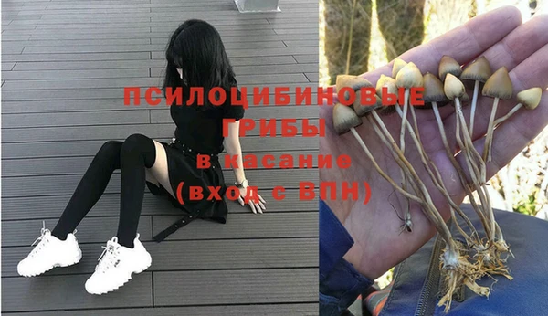 гашик Нягань