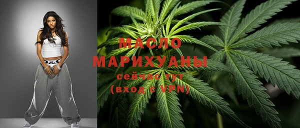 мет Няндома