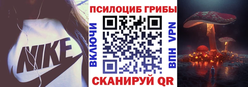Купить закладки  Кремёнки  Галлюциногенные грибы Psilocybine cubensis 